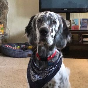 Meet your Posher, Victor